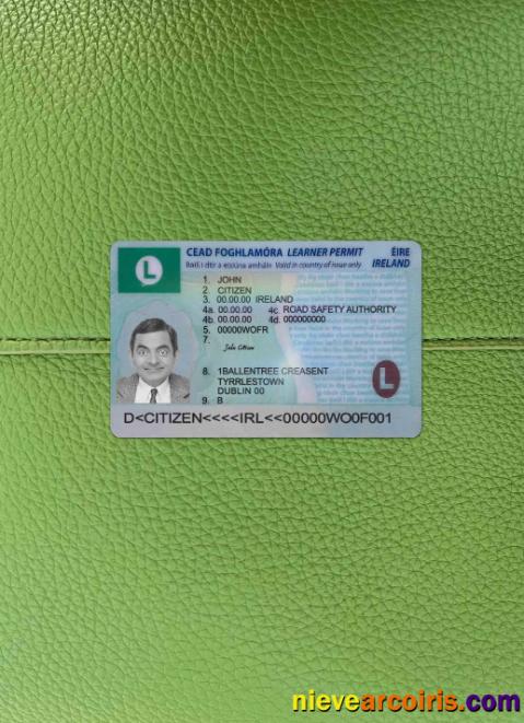 Ireland driving license (learner permit) 2022- present photolook